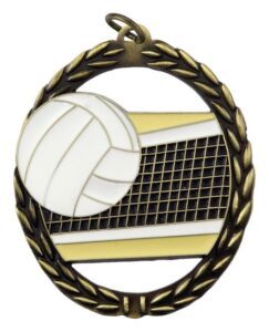 Volleyball medal featuring a ball and net, designed by Negative Space Medals in Edmonton, AB