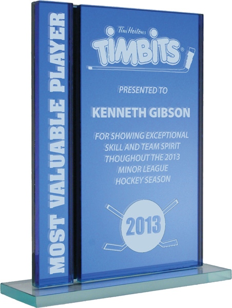 Moncton Blue Mirror hockey award plaque, Most Valuable Player design, Edmonton, AB