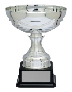 Silver Wentworth Cup trophy with wide bowl and black base displayed on a plain background in Alberta, CA